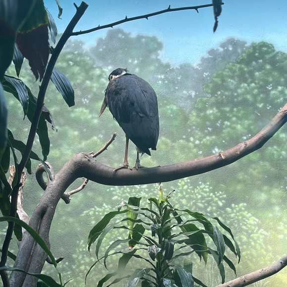 Meet your Posher, Bryan - Picture 1 of 1